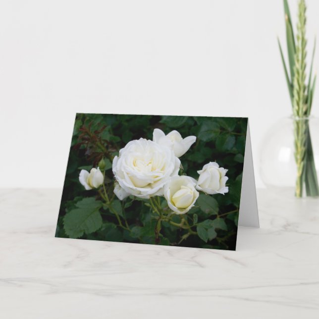 Elegantes Foto Beileid mit modernen White Roses Bl Karte (Vorderseite)