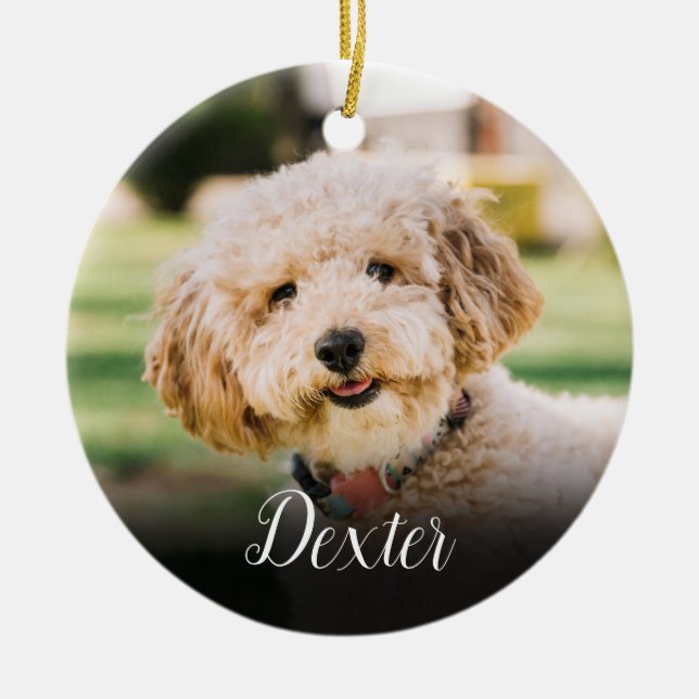 Elegantes Foto Cat Dog Memorial Keramik Ornament (Vorne)