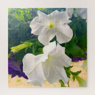 Elegantes Foto mit weißer Blume