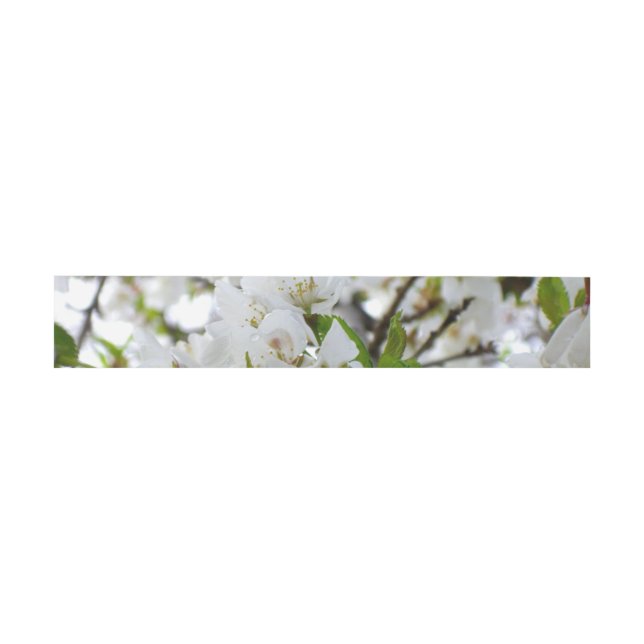 Elegantes Foto mit weißer Blüte Einladungsbanderole (Flach)