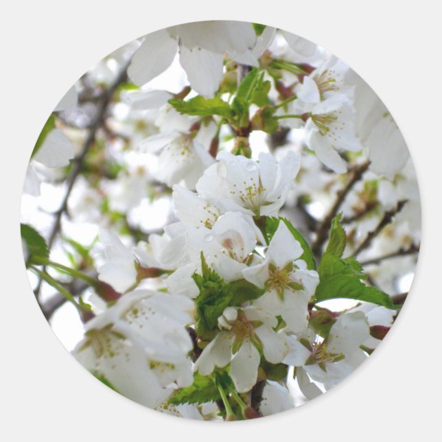 Elegantes Foto mit weißer Blüte Runder Aufkleber (Vorderseite)