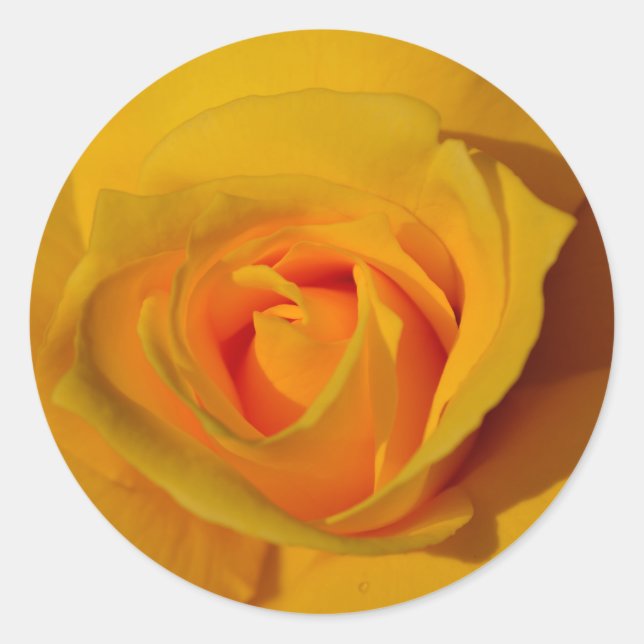 Elegantes Gelbes Rose-Foto Runder Aufkleber (Vorderseite)