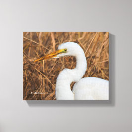 Elegantes Grosses Egret in den Reds Leinwanddruck