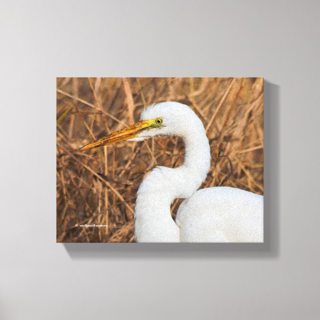 Elegantes Grosses Egret in den Reds Leinwanddruck (Vorderseite)