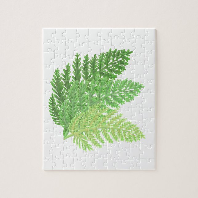 Elegantes grünes Aquarellenfarn-Waldland-Blätter (Vertikal)