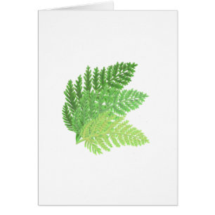 Elegantes grünes Aquarellenfarn-Waldland-Blätter