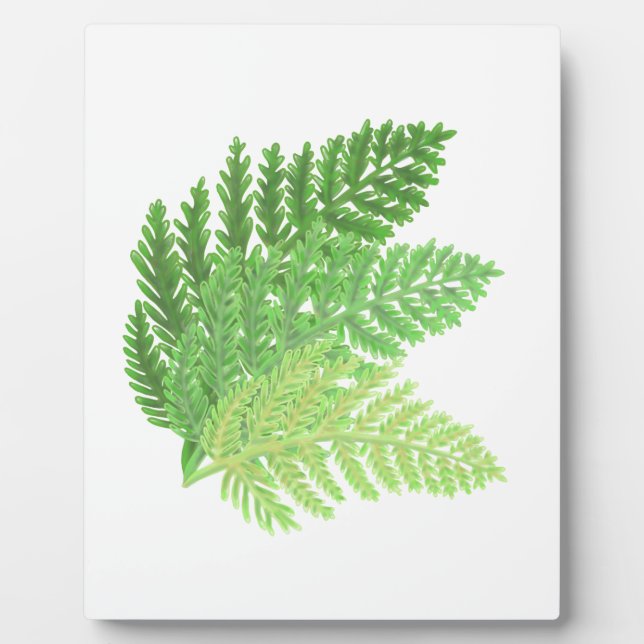 Elegantes grünes Aquarellenfarn-Waldland-Blätter Fotoplatte (Vorderseite)