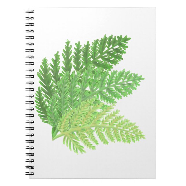 Elegantes grünes Aquarellenfarn-Waldland-Blätter Notizblock (Vorderseite)