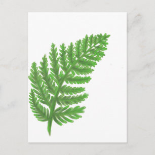 Elegantes grünes Aquarellenfarn-Waldland-Blätter Postkarte
