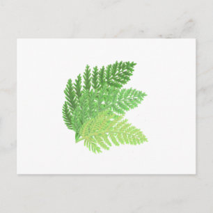 Elegantes grünes Aquarellenfarn-Waldland-Blätter Postkarte