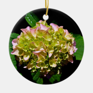 Elegantes, grünes, rosa grünes, blumengrünes Hydra Keramik Ornament
