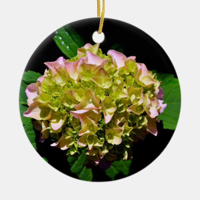 Elegantes, grünes, rosa grünes, blumengrünes Hydra Keramik Ornament (Vorne)