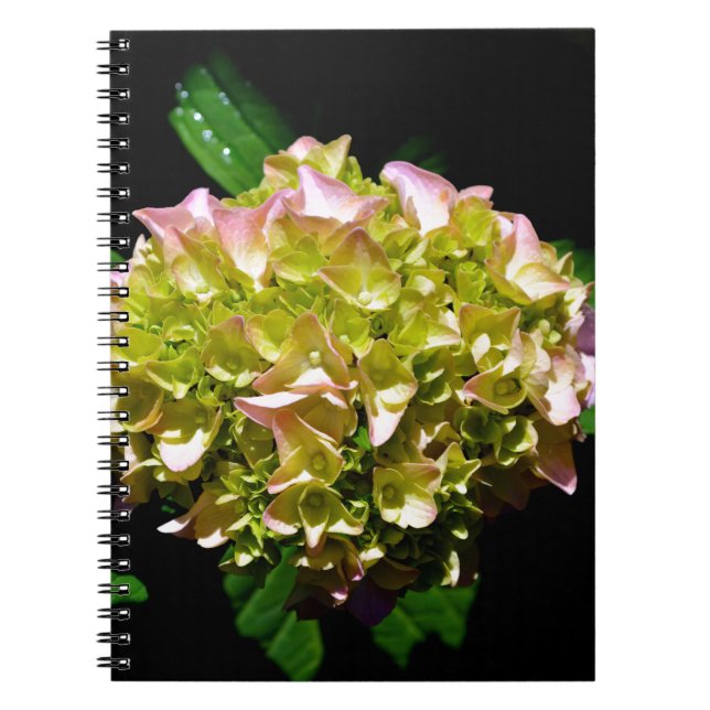 Elegantes, grünes, rosa grünes, blumengrünes Hydra Notizblock (Vorderseite)