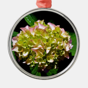 Elegantes, grünes, rosa grünes, blumengrünes Hydra Ornament Aus Metall