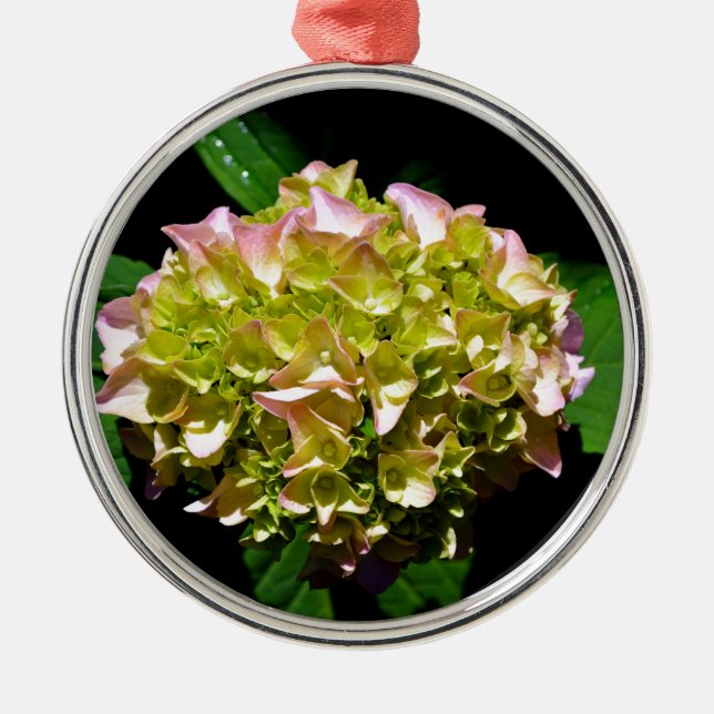 Elegantes, grünes, rosa grünes, blumengrünes Hydra Ornament Aus Metall (Vorne)