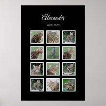 Elegantes Haustierposter in Schwarz mit 12 Fotofäc
