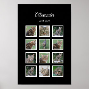 Elegantes Haustierposter in Schwarz mit 12 Fotofäc Poster