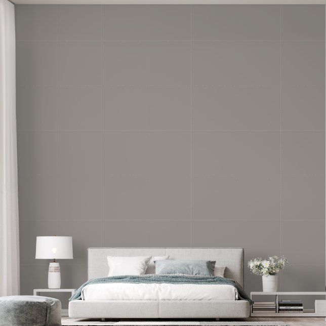 Elegantes hellgraues Schlichtes, robustes Schlafzi Tapete (Schlafzimmer)