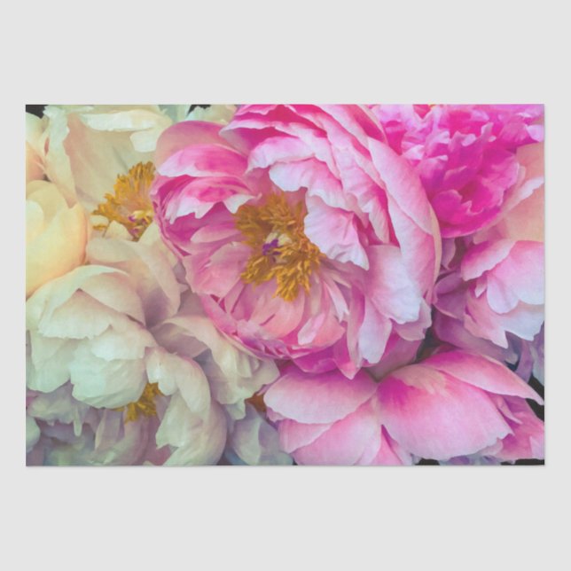Elegantes Hot Pink & Cream Peonies Tissue Seidenpapier (Vorderseite)