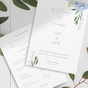 Elegantes Hydrangea-Programm für Weiß und Blauer F Programm