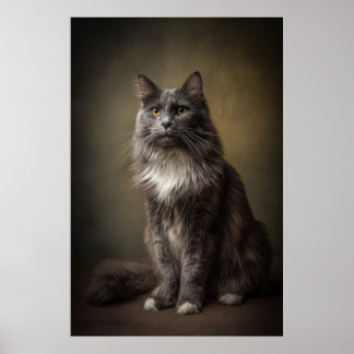 Elegantes Katzenstudioporträt Poster