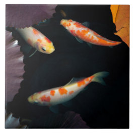 Elegantes koi drei im Wasserlilienteich Fliese