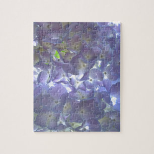 Elegantes, lila, blumengeschmücktes lila Hydrangea