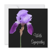 Elegantes lila Iris Blume Rodelbahn mit Aussicht B