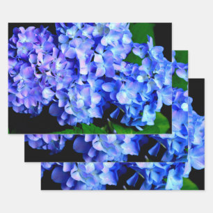 Elegantes lila Magenta Blumenhydrangea Geschenkpapier Set