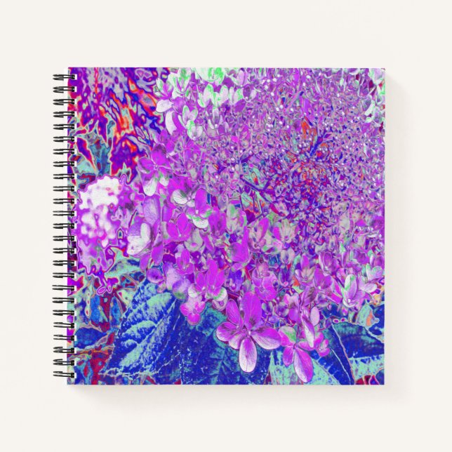 Elegantes Lila und blaues Limelight Hydrangea Notizbuch (Vorderseite)