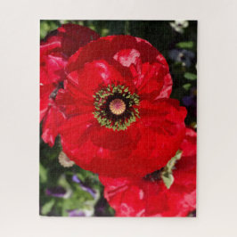 Elegantes modernes Foto Roter Mohn Blume Californi