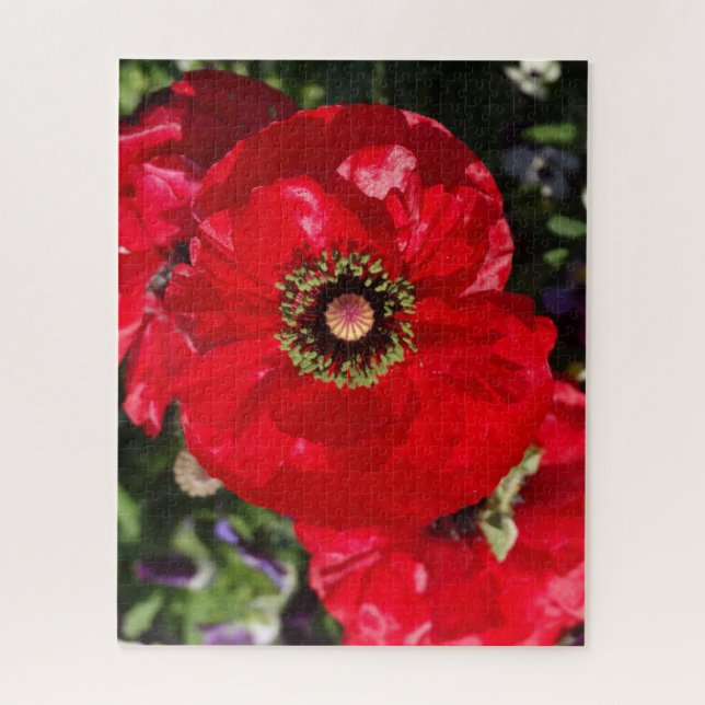 Elegantes modernes Foto Roter Mohn Blume Californi (Vertikal)