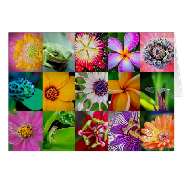 Elegantes Muster für Blume und Kreaturen (Vorderseite (Horizontal))
