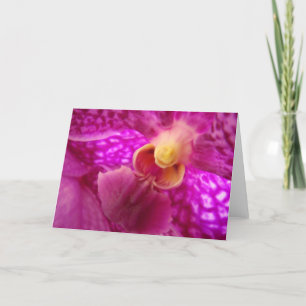 Elegantes Orchid-Grafik-Foto Karte