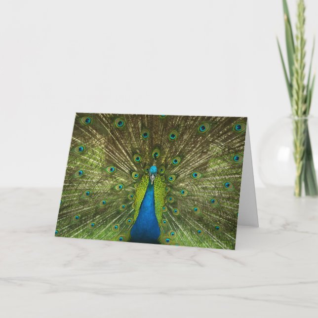 Elegantes Peacock Blue Green Feathers Foto Karte (Vorderseite)