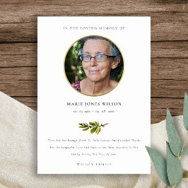 Elegantes Pine Branch Fauna Foto Beileid Memorial Dankeskarte