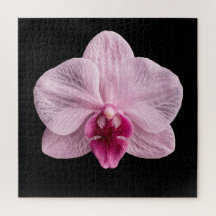 Elegantes Poster der botanischen Orchideensammlung