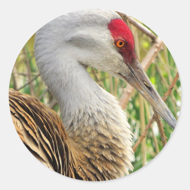 Elegantes Profil eines großen Sandhügelkrans Runder Aufkleber (Vorderseite)