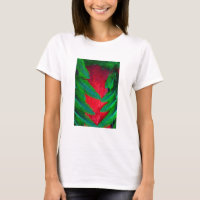 Elegantes Quetzal-Federdesign