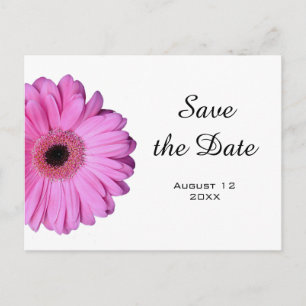 Elegantes Romantisches Rosa Gerbera Daisy Ankündigungspostkarte