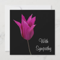 Elegantes rosa lila Tulpe Blume Beileid