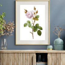 Elegantes rosa rosa botanisches Printable Poster