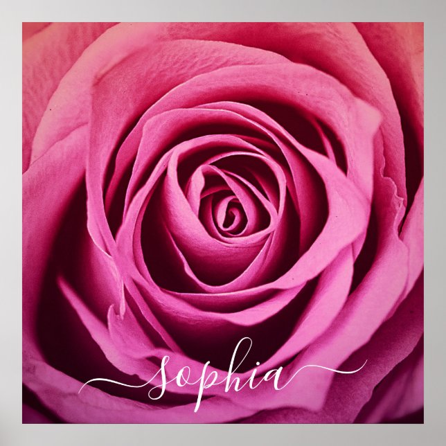 Elegantes rosa Rose Blume Foto Name Poster hinzufü (Vorne)