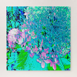 Elegantes rosa und blaues Limelight Hydrangea