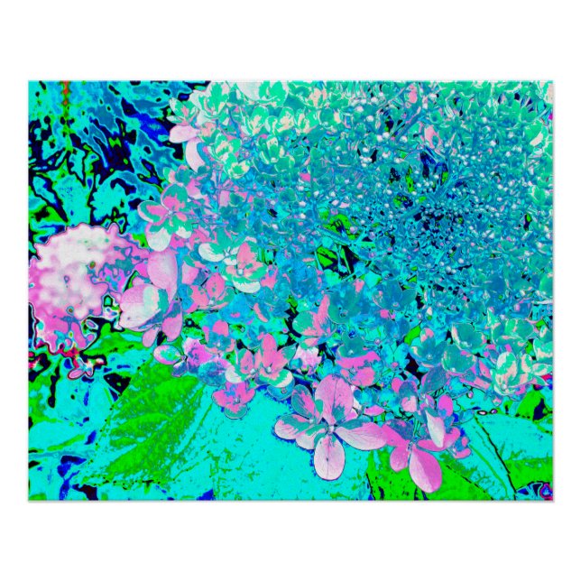 Elegantes rosa und blaues Limelight Hydrangea Poster (Vorderseite)