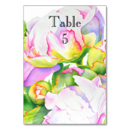 Elegantes, rosa, weißes Peelinggeflecht Tischnummer