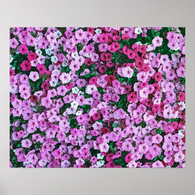 Elegantes rosafarbenes, florales Kunstwerk | Poster (Vorne)