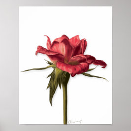 Elegantes Rose Poster