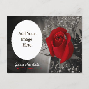 Elegantes Rote Rose Save the Date Foto Ankündigungspostkarte