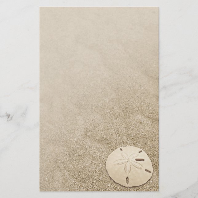 Elegantes Sand-Dollar-Stationar 3 Briefpapier (Vorderseite)